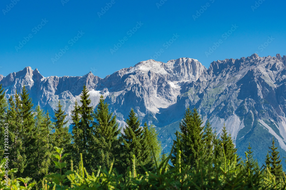 Fototapeta premium The summit Koppenkarstein in the Dachstein mountain range in Austria with green trees in foreground