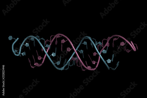small interfering RNA bound to a messenger RNA, space-filling model. siRNAs are synthetic RNA interference tools used for inducing temporary reduction of mRNA expression.
