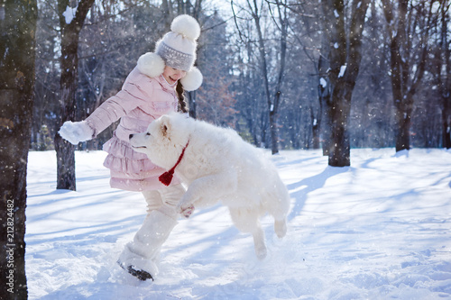 girl playing with a Samoyed puppy in a snow-covered park on Christmas morning. Jumping up behind snowballs. © tumskaia