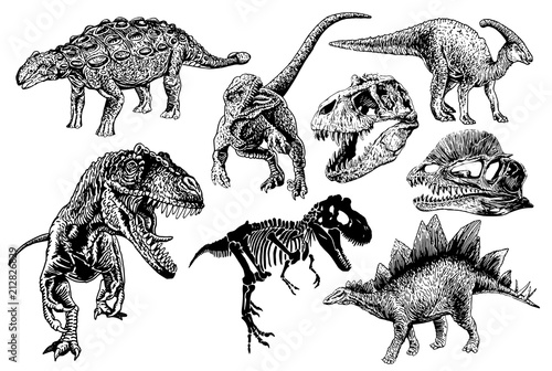 Graphical set of dinosaurs isolated on white background,vector tyrannosaurus, skeleton, skull, ankylosaurus,  parazaurolophus,stegosaurus