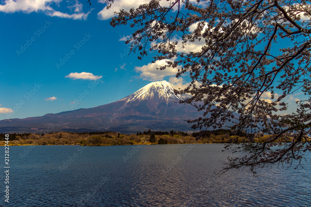 Mt. Fuji