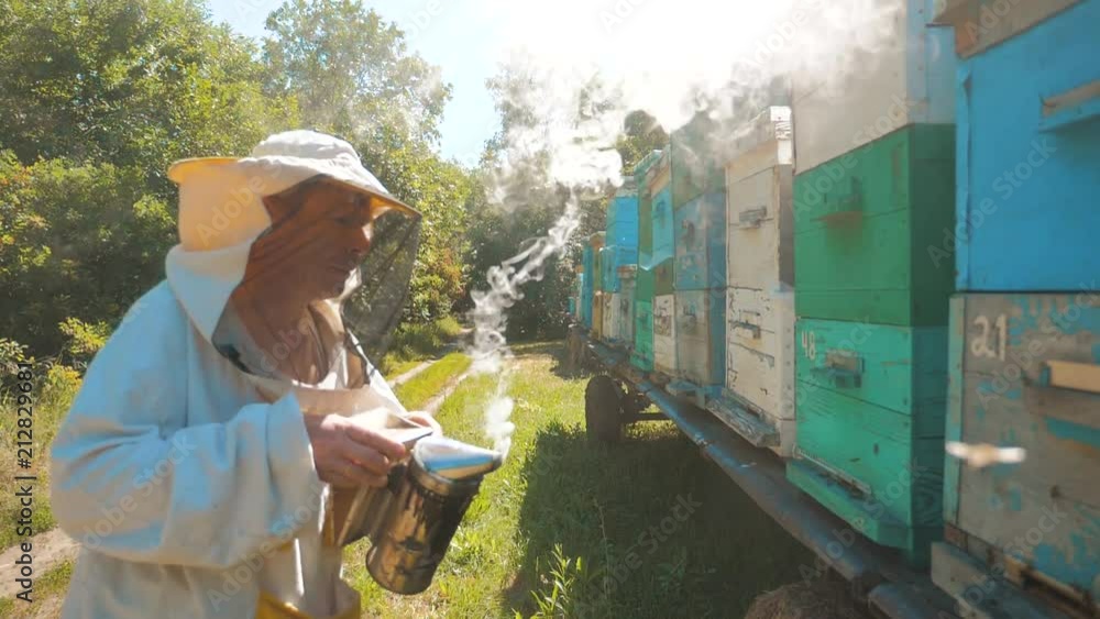 bee-maker beekeeper man working lifestyle of a smoke pipe beeper smoker device for repelling evil bees. slow motion video. apiary. beekeeping concept bee agriculture bee-maker beekeeper man working lifestyle of a smoke pipe beeper smoker device for repelling evil bees. slow motion video. apiary. beekeeping concept bee agriculture