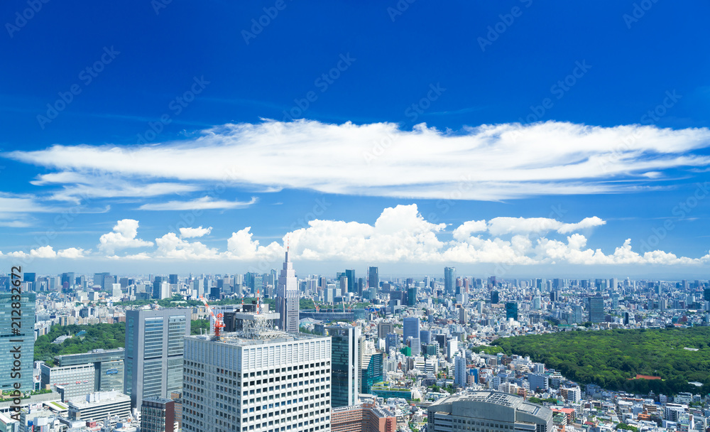 Obraz premium 東京風景・青空と緑・夏