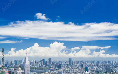 東京風景・青空と緑 © oka