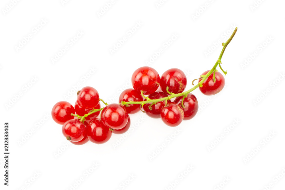 One whole red currant berry string isolated on white.