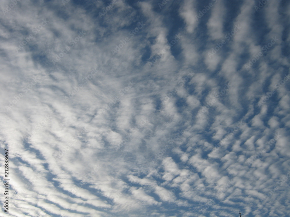 Fototapeta premium cielo