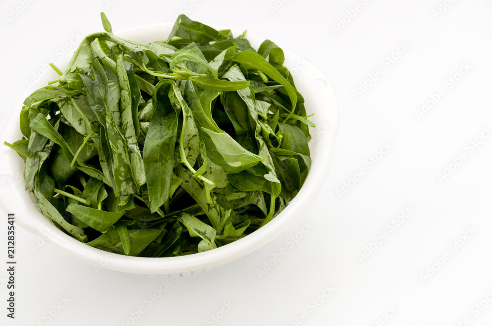 空心菜(クウシンサイ)の葉 空心菜(クウシンサイ)の葉