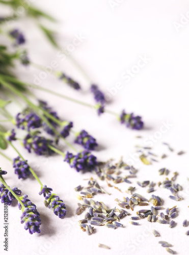 Fototapeta Naklejka Na Ścianę i Meble -  Dried and fresh lavender flowers on pink background