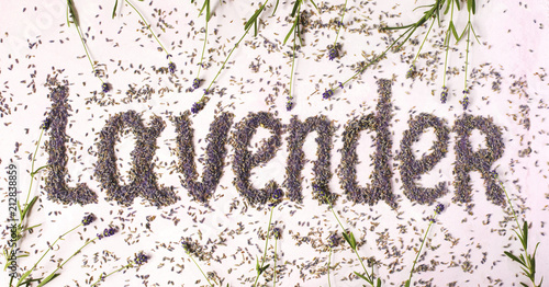 Fototapeta Naklejka Na Ścianę i Meble -  Lavender flower text