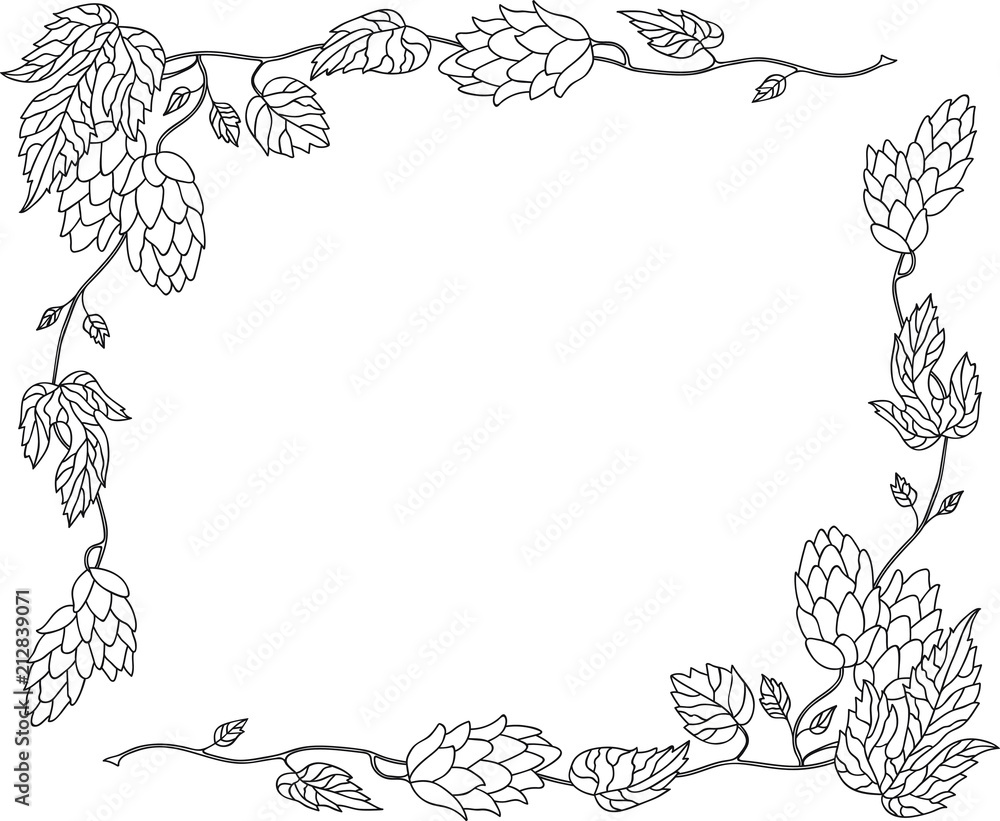 Hand Drawn Doodle Sketch Line Art Vector Illustration of Frame Ornament