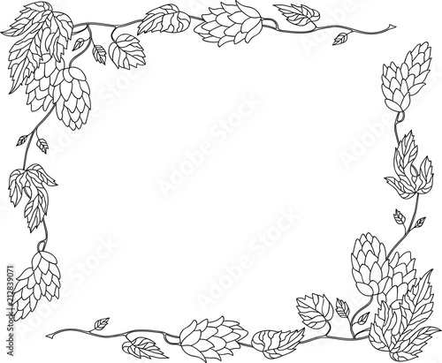 Hand Drawn Doodle Sketch Line Art Vector Illustration of Frame Ornament of Ripe Hops. Menu Poster Card Decoration Black Outline Design Element Template