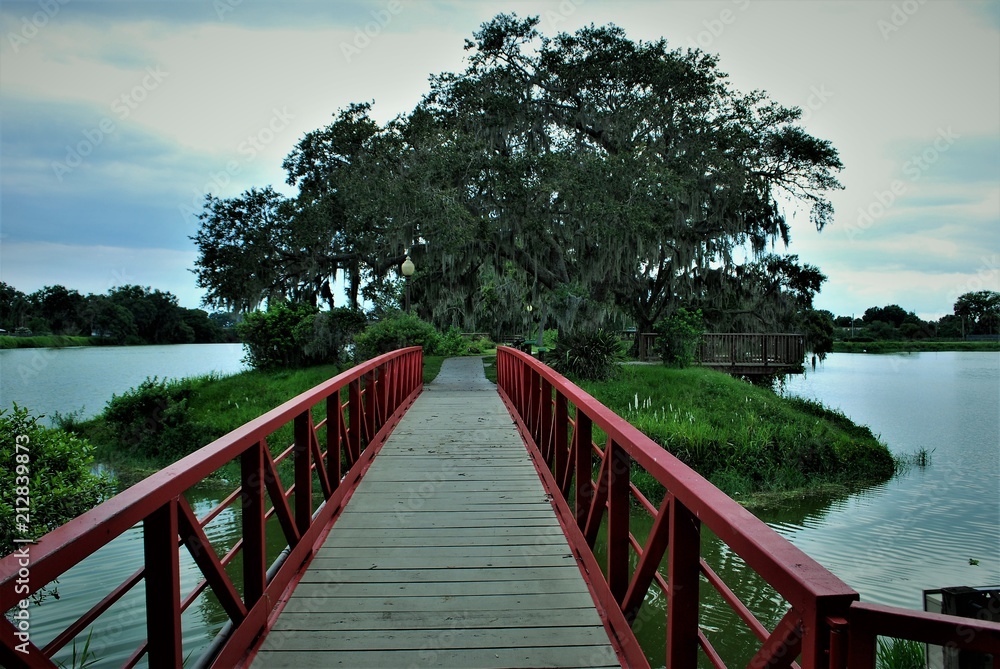 Fototapeta premium Beautiful scenic park in central Florida