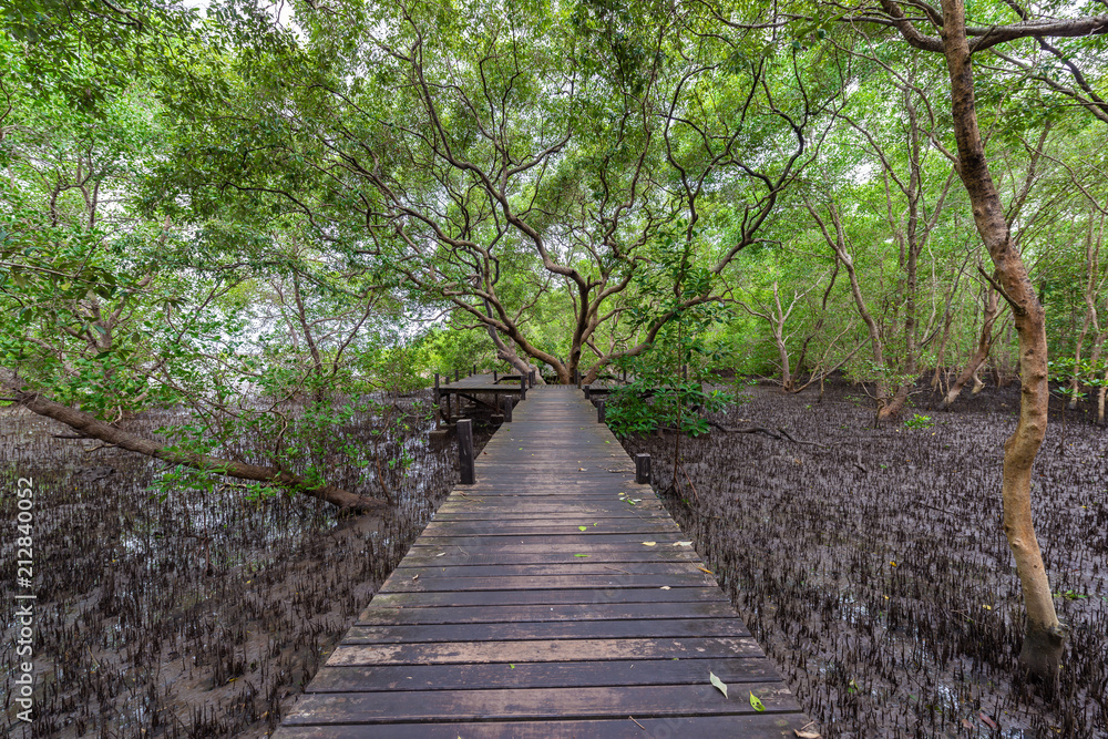 Mangroves inTung Prong Thong or Golden Mangrove Field at Estuary Pra Sae, Rayong, Thailand Mangroves inTung Prong Thong or Golden Mangrove Field at Estuary Pra Sae, Rayong, Thailand