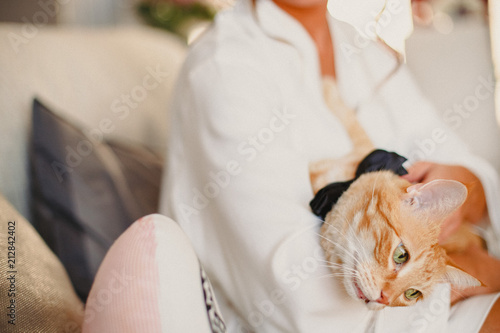 Beautiful face orange cat in the arms of its owner