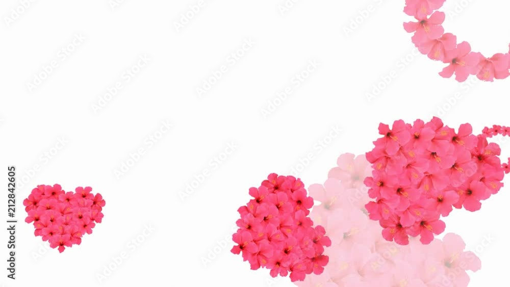 Happy Valentine (hibiscus flower) on white background - loop, alpha, 4K
Happy Valentine (hibiscus flower) on white background - loop, alpha, 4K