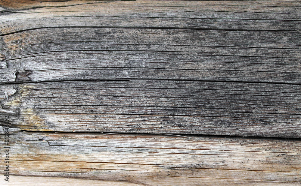 The old wood texture with natural patterns. Inside the tree background. Old grungy and weathered grey wooden wall planks texture background The old wood texture with natural patterns. Inside the tree background. Old grungy and weathered grey wooden wall planks texture background