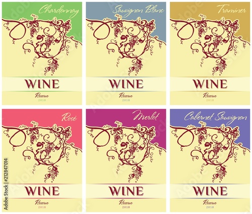 Set of vintage wine label. Vector vertical banners with hand drawn grapes.