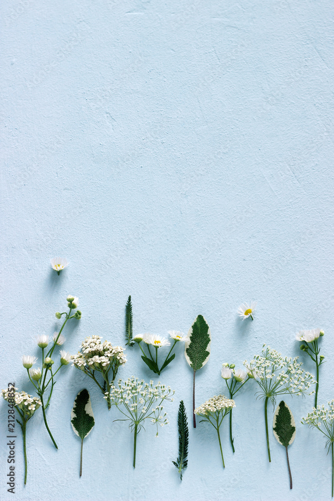 Composition from various wildflowers on a light blue background.