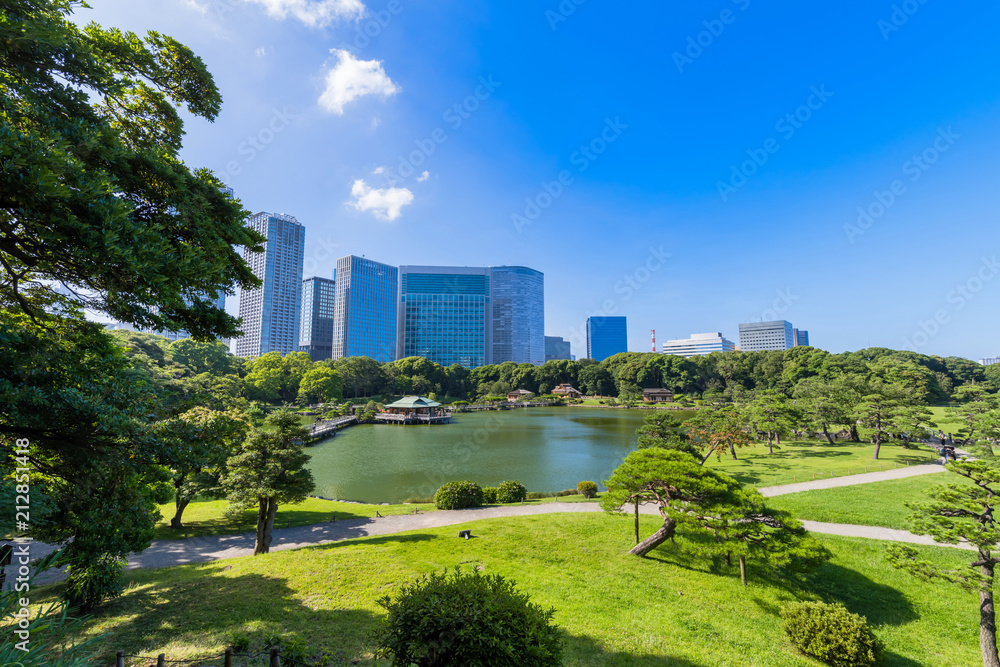 Fototapeta premium 浜離宮恩賜庭園 富士見山からの眺望
