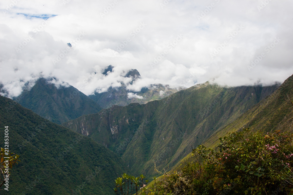 Clouds and mist covering the Andes mountains viiewed from behind a tree on the Inca Trail to Machu Picchu. Peru. South America. No people.