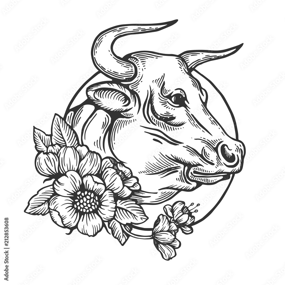 Obraz premium Bull animal engraving vector