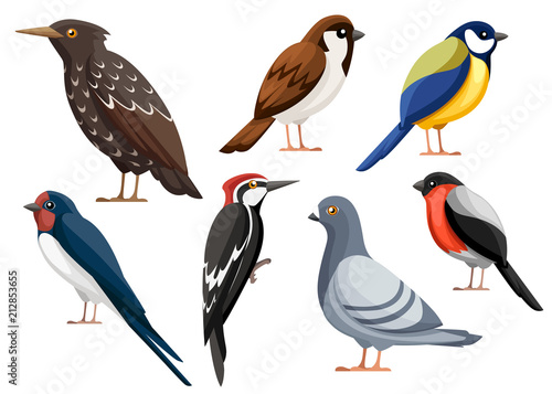 Colorful bird collection. Pigeon, Sparrow, Titmouse, Swallow, Woodpecker, Starling, Bullfinch. Flat birds icon. Vector illustration isolated on white background