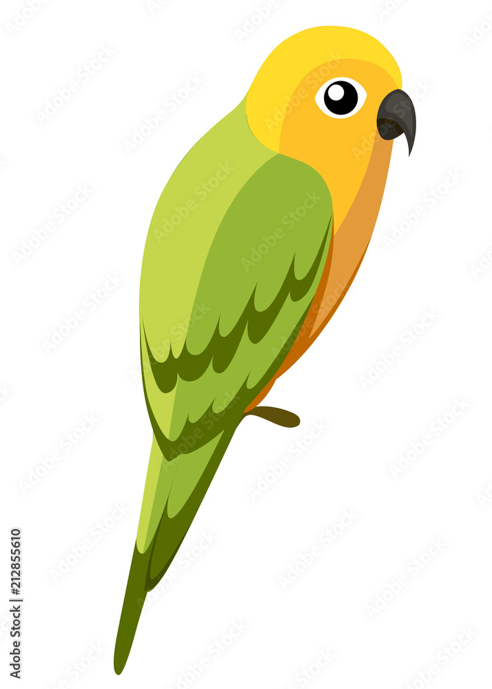 Green parrot bird. Parrot on branch posters, children books illustrating. Tropical bird cartoon style. Isolated on white background