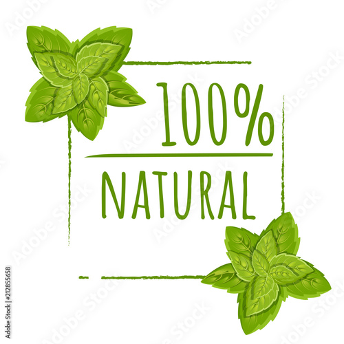 100 natural logo design. Green vector eco stamp. Color icon with leaves. Flat vector illustration. Isolated on white background