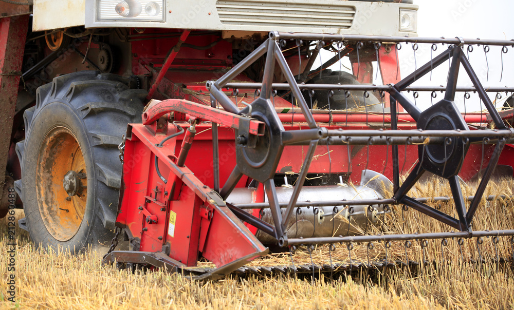 Fototapeta premium combine harvester working