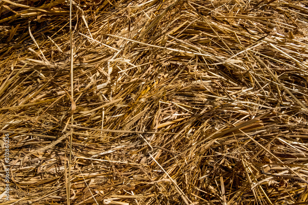 Detail of a hay roll texture. Beautiful wallpaper background image of nature.