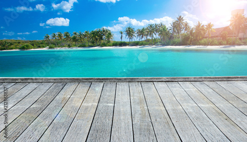 beach and tropical sea