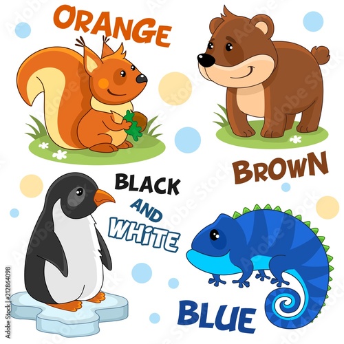 Set of cartoon illustrations of wild animals, birds and reptiles for children and design, orange squirrel with walnut, brown bear, black and white penguin on the ice floe and blue iguana.