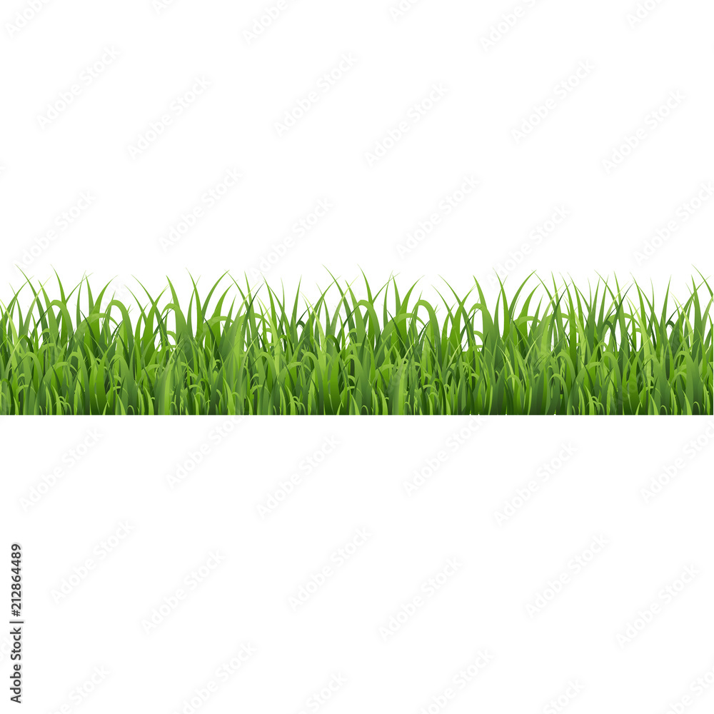Green Grass Border Isolated White Background Green Grass Border Isolated White Background