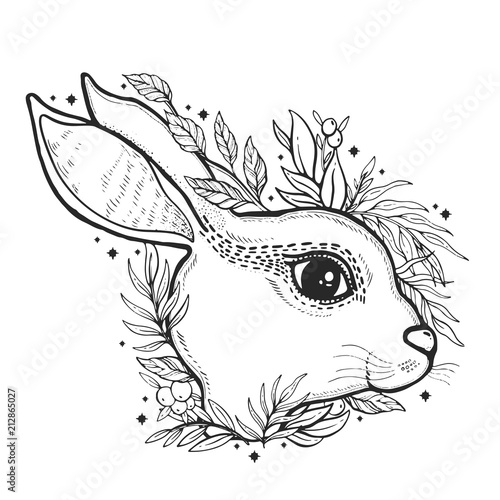 Sketch graphic illustration rabbit and butterfly with mystic and occult hand drawn symbols. Vector illustration.