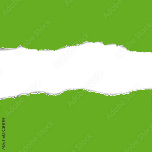 Green Torn Paper