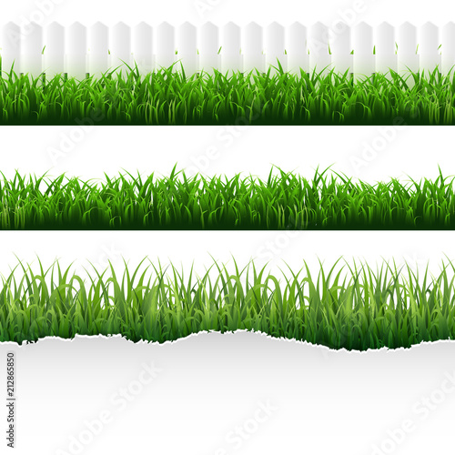 Green Torn Paper With Grass Set-
