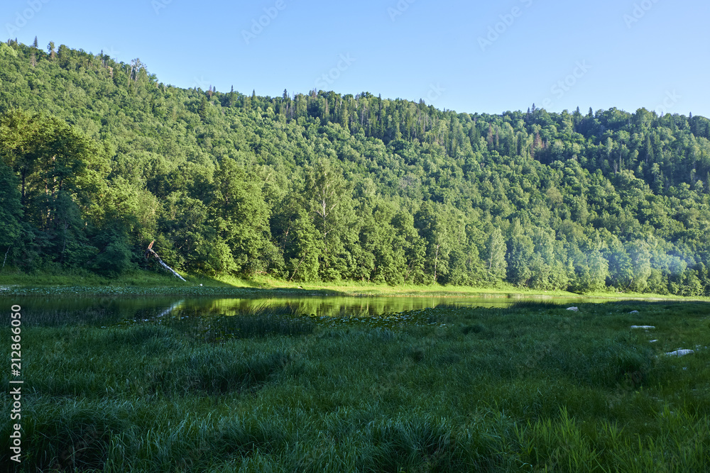 forest mountain river