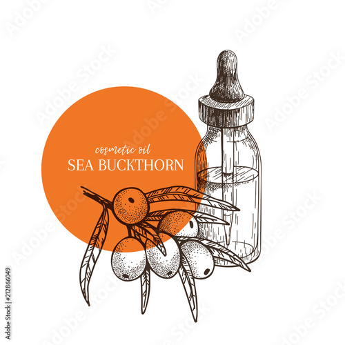 Hand drawn set of essential oils. Vectorsea buckthorn branch. Medicinal herb with glass bottle. Engraved art. Good for cosmetics, medicine, treating, cooking, package design, food ingredient.