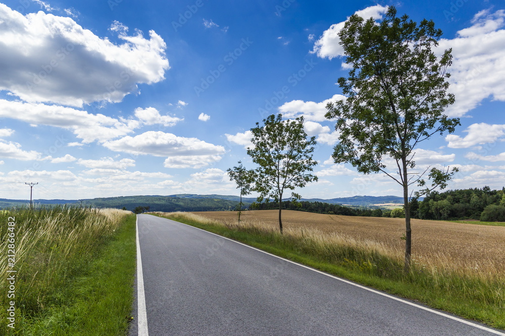 Fototapeta premium Summer country road with trees beside.