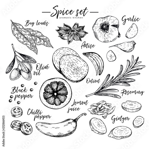Hand drawn herbs, spices and condiments. Vector bay leaves, anise, garlic, olive oil, onion, pepper, chilli, lemon, rosemary and ginger icons. Engraved illustration. Restaurant menu design, packaging.
