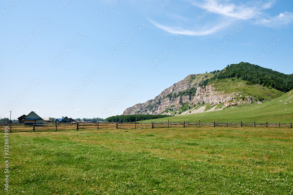 pasture on a clear day
