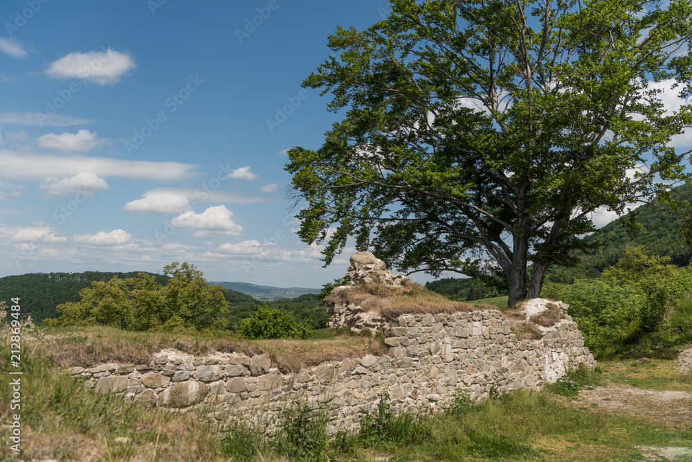 Ruin of castle Sebes