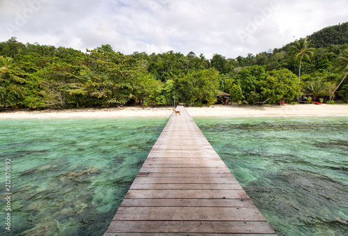 wooden pier and small dog on the sea of raja ampat archipelago