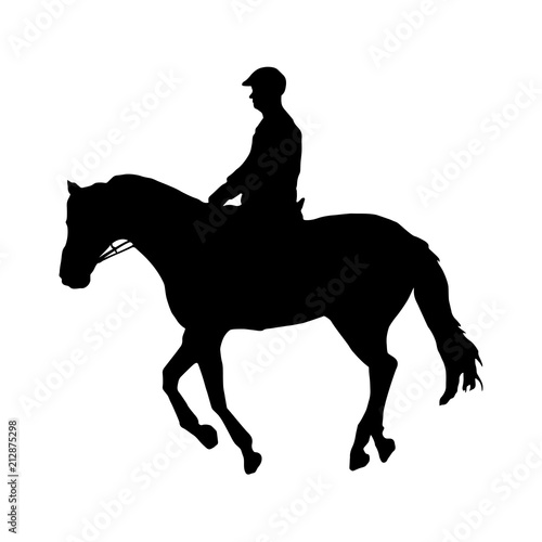 Black silhouette of horse with rider