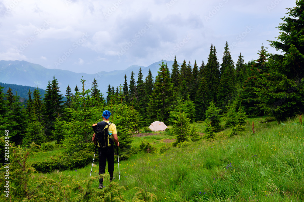 Adventurer with backpack walks along green mountain meadow