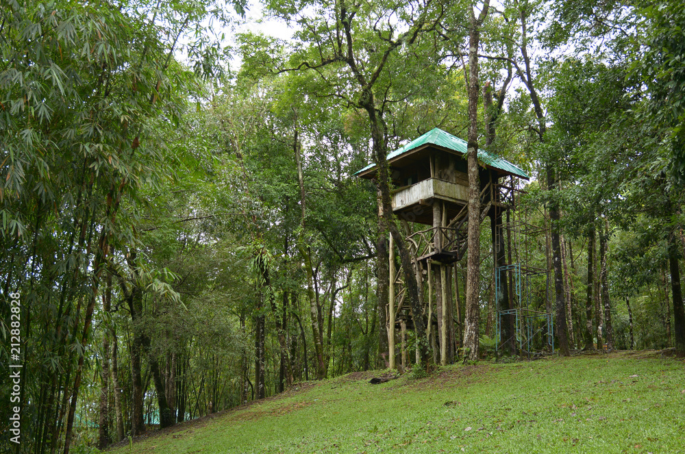 Treehouse in Thong Pha Phum National Park, Thailand Treehouse in Thong Pha Phum National Park, Thailand