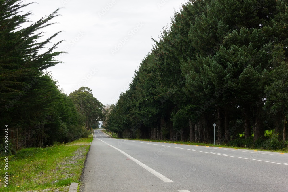 Long empty road flanked by trees on cloudy day in Puerto Varas, South Chile. Trip through nature land, holidays concept Long empty road flanked by trees on cloudy day in Puerto Varas, South Chile. Trip through nature land, holidays concept