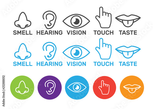Icon human senses: vision, smell, hearing, touch, taste. Icons sense nose, ear, eye, hand vector
