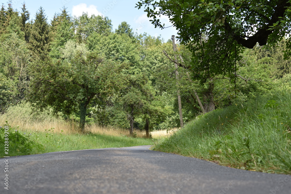 Obraz premium Feldweg