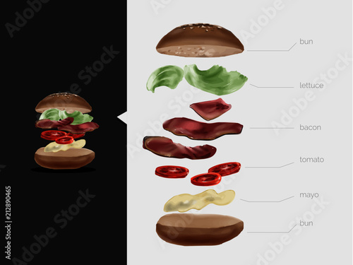 Illustrated Burger with separate ingredients 
